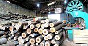 قیمت چوب وارداتی ۳۰ برابر شده است/ کمبود منابع مالی و مواد اولیه صادرات مصنوعات چوبی را کم کرد