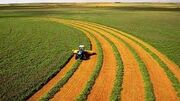 پیش بینی افزایش صادرات محصولات کشاورزی امریکا در سال ۲۰۲۱