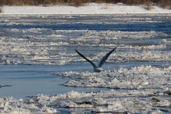 رودخانه یخ زده 2
