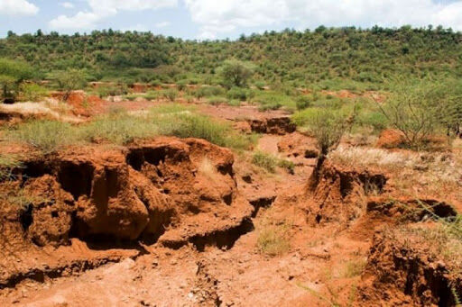 «تخریب خاک» فشار بیش از حد به منابع آبی را در پی دارد