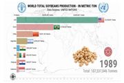 آمریکا رتبه نخست تولید سویا در جهان