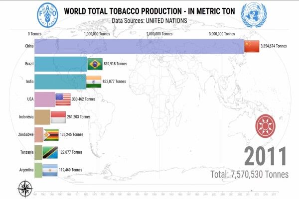 چین رتبه اول تولید تنباکو در جهان را از آن خود کرد