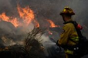 زخم آتش بر جنگل های مازندران
