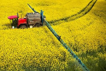 مشکلی در بحث خرید و پرداخت مطالبات کلزا نداریم
