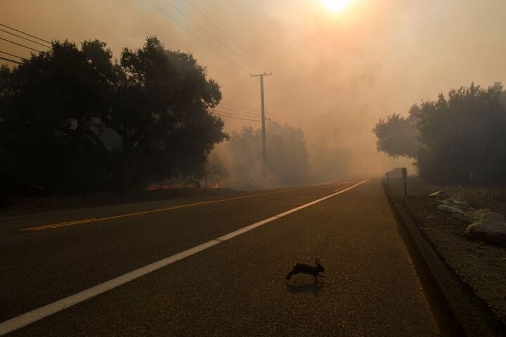آتش سوزی کالیفرنیا 3