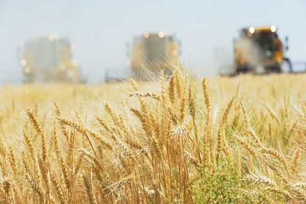 اجرای طرح کشاورزی حفاظتی در ۳۲۰ هزار هکتار از اراضی زراعی آذربایجان غربی