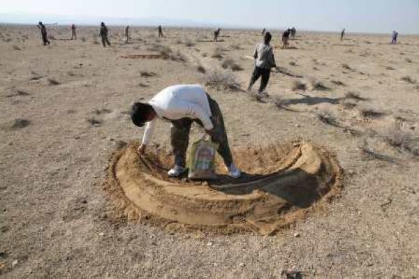ایران رتبه‌دار فرسایش خاک در جهان| سالانه ۴ تا ۱۷ تن خاک در همدان فقیر می‌شود