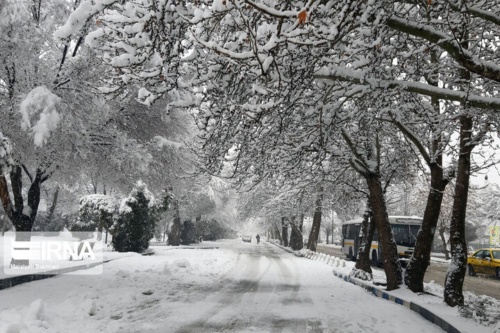 تدام یخبندان در کرمانشاه| ثبت دمای ۲۰ درجه زیر صفر در اسلام آباد غرب 