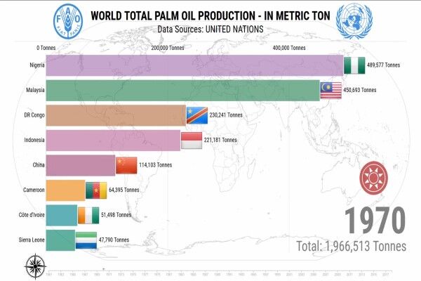 اندونزی و مالزی، رقیبان سرسخت در تولید روغن پالم