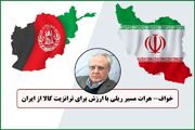 صادرات ۳ میلیارد دلار کالای ایرانی به افغانستان