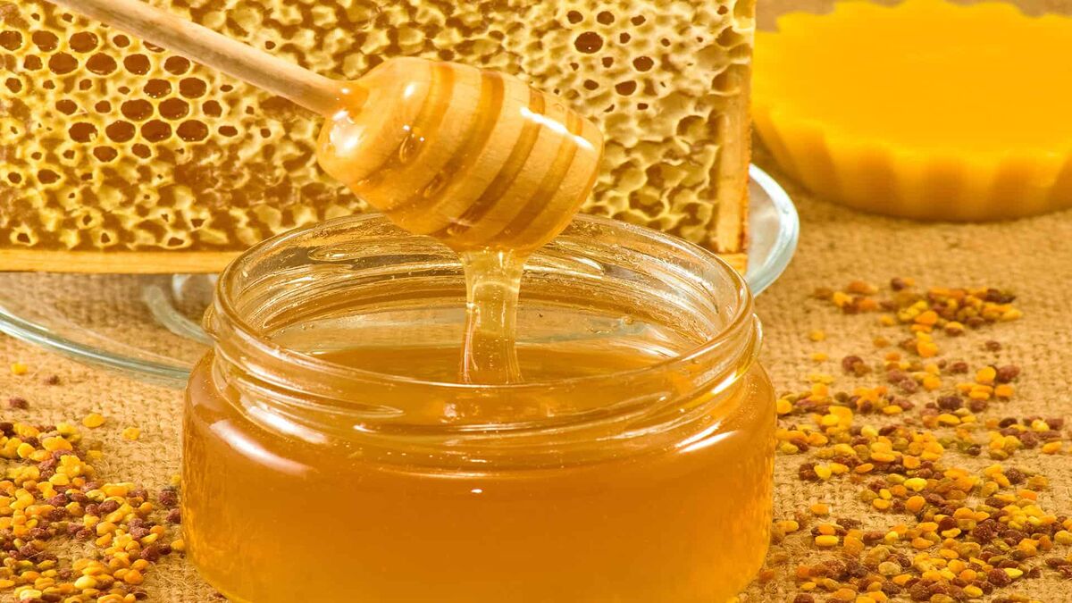 قیمت ۱۲۰ تا ۲۵۰ هزار تومانی عسل طبیعی در مازندران