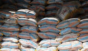 ترخیص ۱۳ هزار تن برنج دپو شده در گمرک
