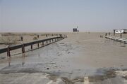 جاده ساحلی «گناوه - بوشهر» مسدود شد