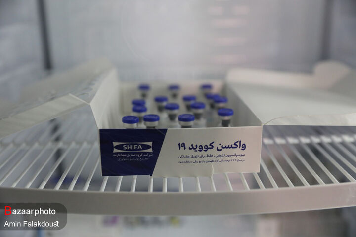 ۳ واکسن کرونای ساخت ایران در مرحله آزمایش انسانی
