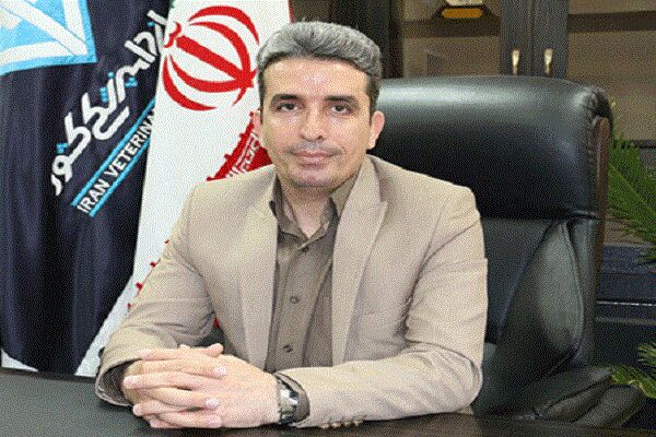 هشدار به دامداران در خصوص تب کریمه کنگو| روستاییان احتیاط کنند