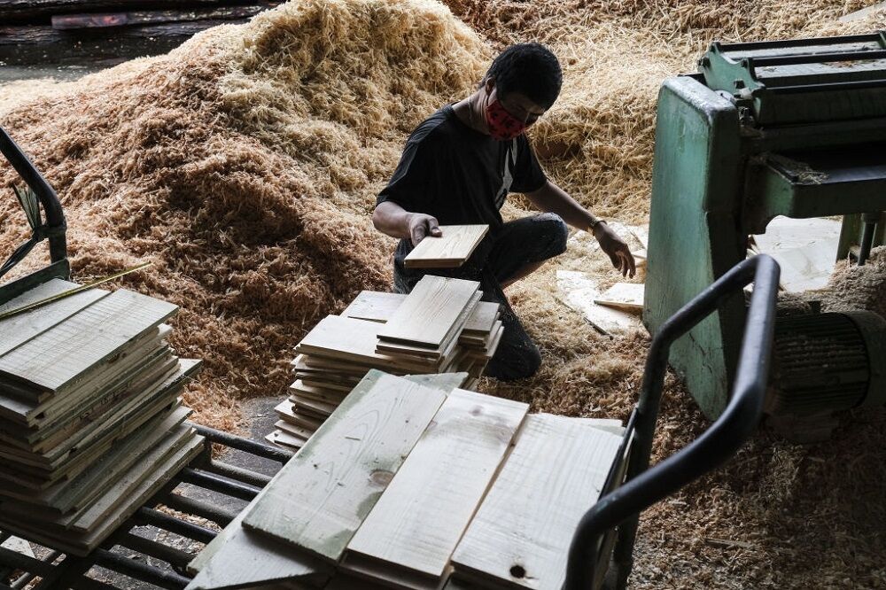 توسعه صنعت چوب در گرو آینده‌نگری مسئولان| تامین مواد اولیه از انحصار دلالان خارج شود