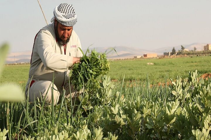 کشاورزان سوریه 2