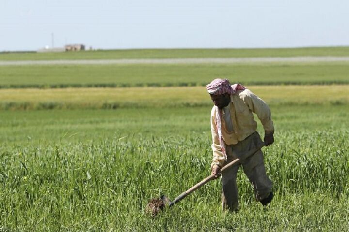 کشاورزان سوریه 5