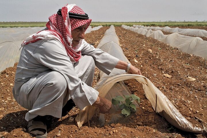 کشاورزان سوریه 9