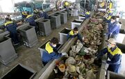 زباله چقدر سودآور است؟| آخرین وضعیت بازیافت پسماند در تهران