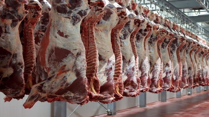 قیمت روز گوشت قرمز در ۳۰ شهریور ۱۴۰۲