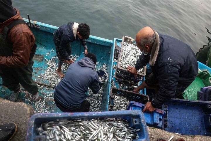 ماهیگیری فلسطینی ها 6