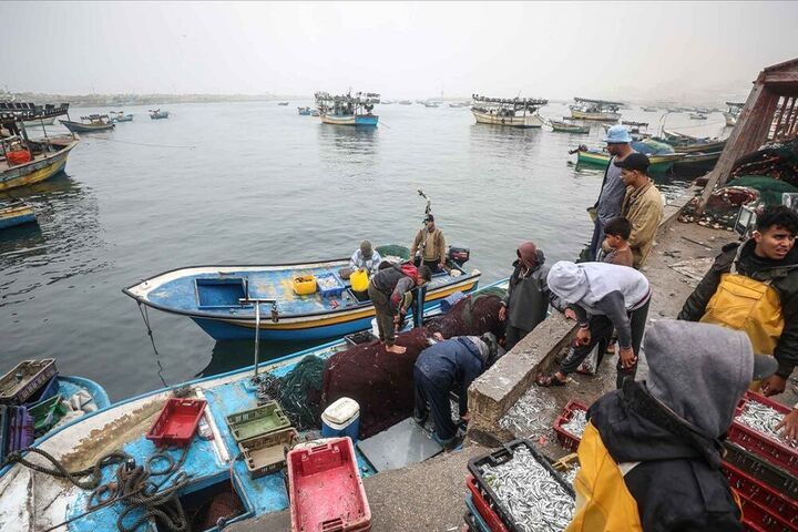 ماهیگیری فلسطینی ها 7