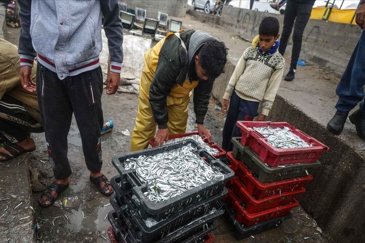 ماهیگیری فلسطینی ها 8