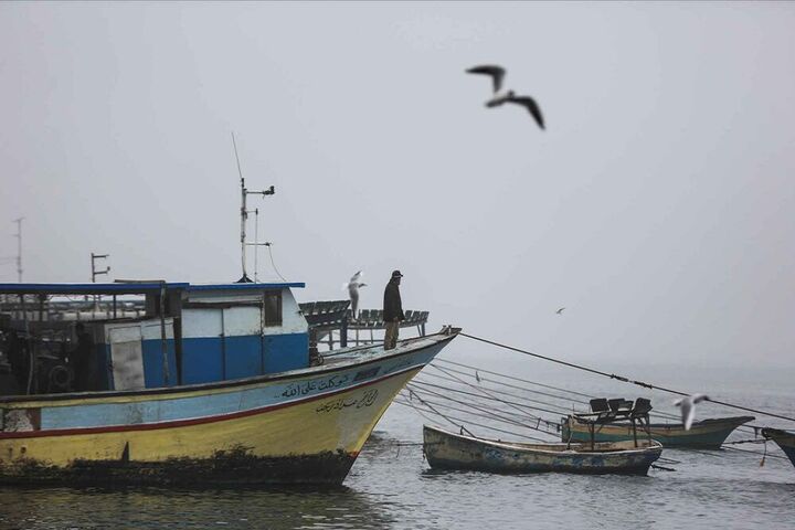 ماهیگیری فلسطینی ها 9
