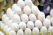 تخم مرغ در شانه گرانی| مردم خراسان جنوبی از عدم نظارت‌ها گلایه دارند