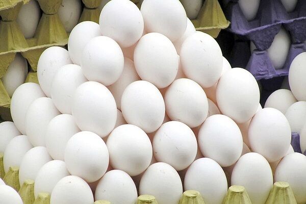 قیمت مصوب هر شانه تخم مرغ برای مصرف کننده در بازار ۴۳هزار تومان است