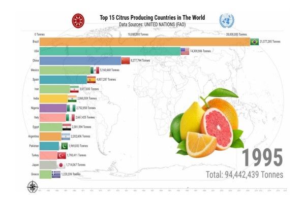 چین، برترین تولیدکننده‌ مرکبات در جهان