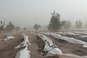 وزش طوفان ۸۰ کیلومتری در اصفهان/کشاورزان و دامداران مراقب باشند