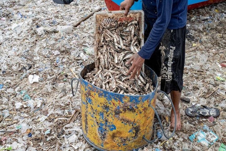 ماهیگیری در اندونزی 6