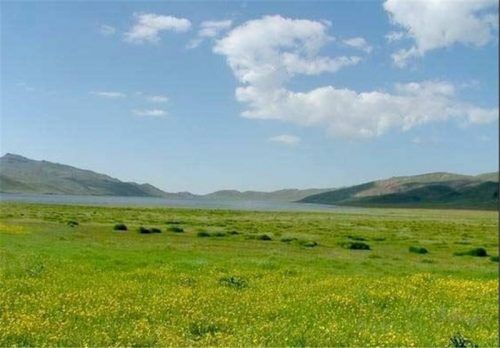 امسال ۵۰ هزار هکتار ذخیره گاه مرتعی در آذربایجان غربی شناسایی می شود