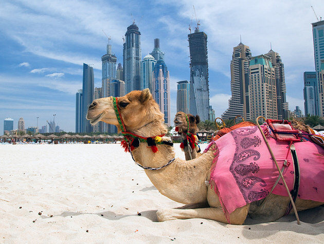امارات در اقتصاد پسانفتی، به‌دنبال سرمایه‌گذاری در حوزه نوآوری است