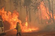 اعلام وضع اضطراری در پی آتش سوزی در جنگل‌های کالیفرنیا
