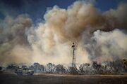 تخریب ده‌ها خانه در پی آتشسوزی جنگل در استرالیا