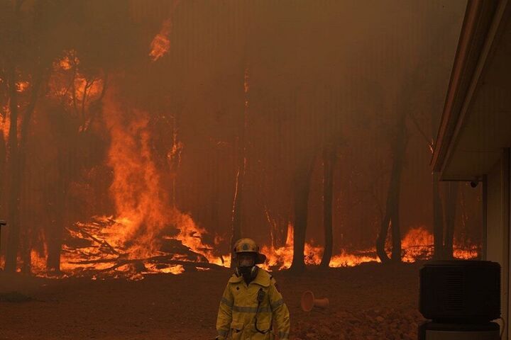 افزایش موارد آتش سوزی در جنگل‌های آمازون
