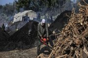 تولید زغال در غزه