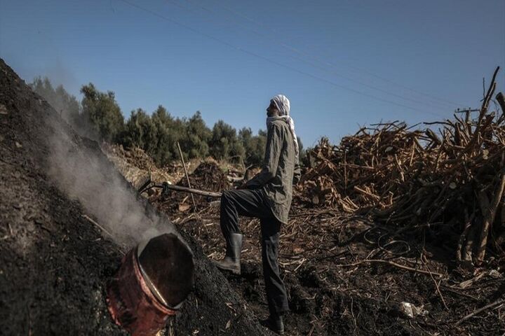تولید زغال در غزه 6