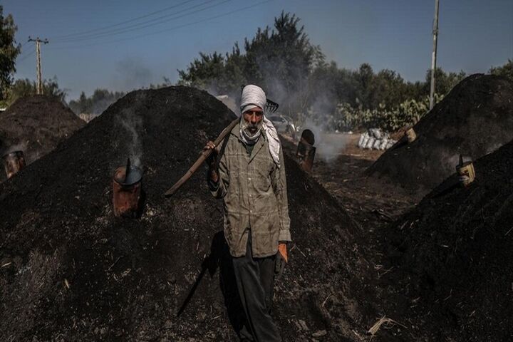 تولید زغال در غزه 7