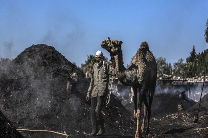 تولید زغال در غزه 8