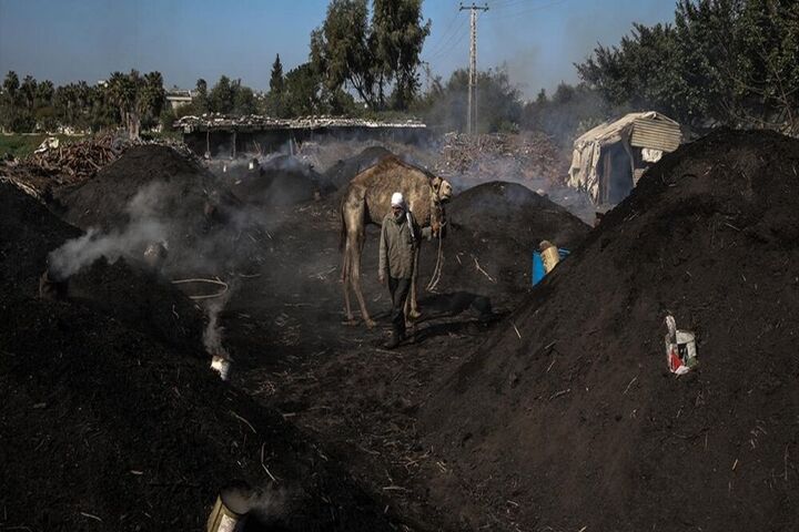 تولید زغال در غزه 10