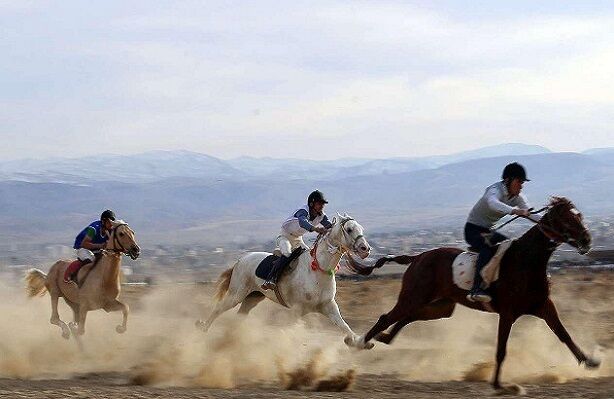 ضرورت توجه به گردشگری ورزشی در گلستان | جذابیت اسب ترکمن مغفول مانده است
