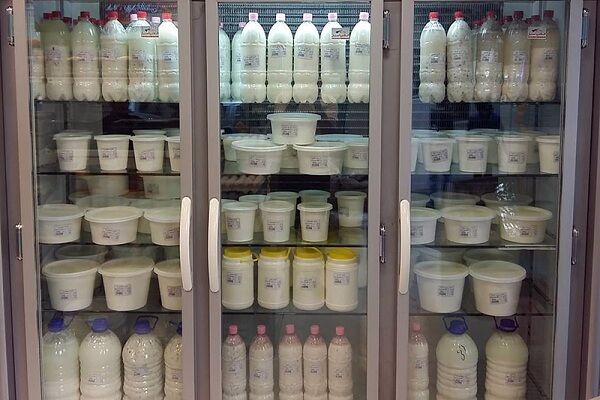 تقاضای شیر و لبنیات ۵۰ درصد کاهش یافته است