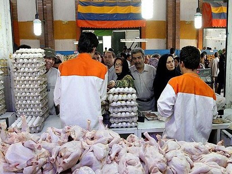 بازار مرغ یزد قربانی سیاست ارزانی شد؛ لحظه شماری برای پایان التهابات