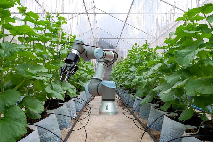 ربات‌های هوشمند کشاورزی 2