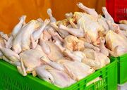 ۱.۸ کیلو دان برای تولید یک کیلو گوشت مرغ لازم است