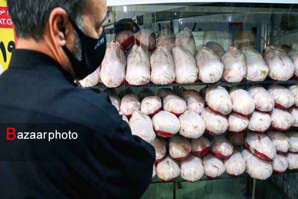 التهاب مافیایی بازار مرغ| دادستانی کرمان ورود کرد